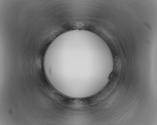 X0000113360562200910131302