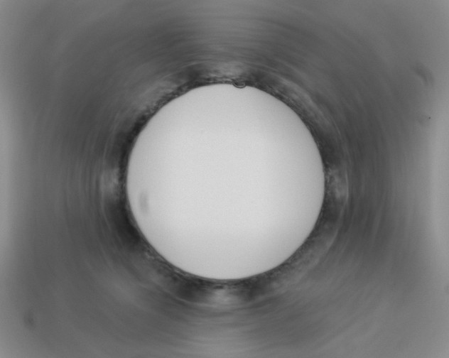 X0000113360564200910131302