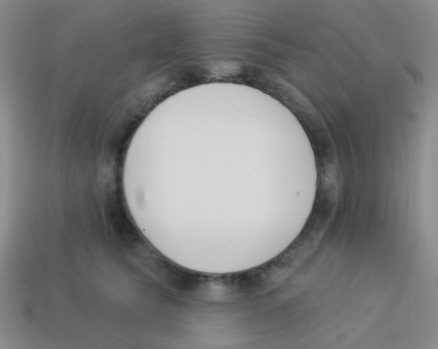 X0000113360565200910131302