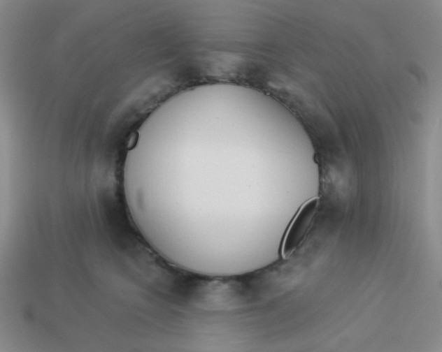 X0000113360566200910131302