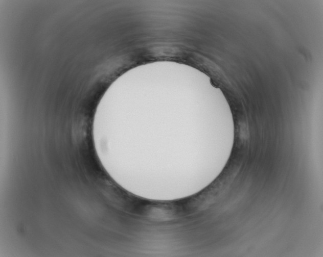 X0000113360567200910131302