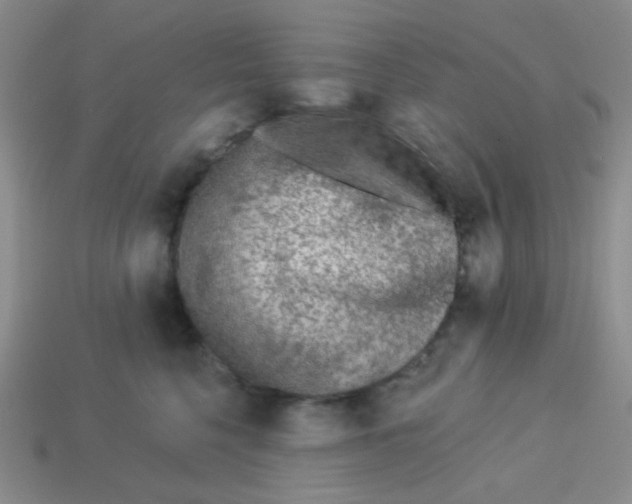 X0000113360568200910131302