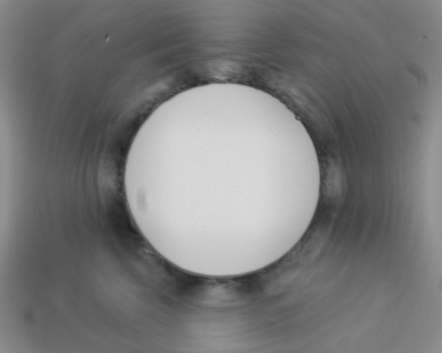 X0000113360569200910131302