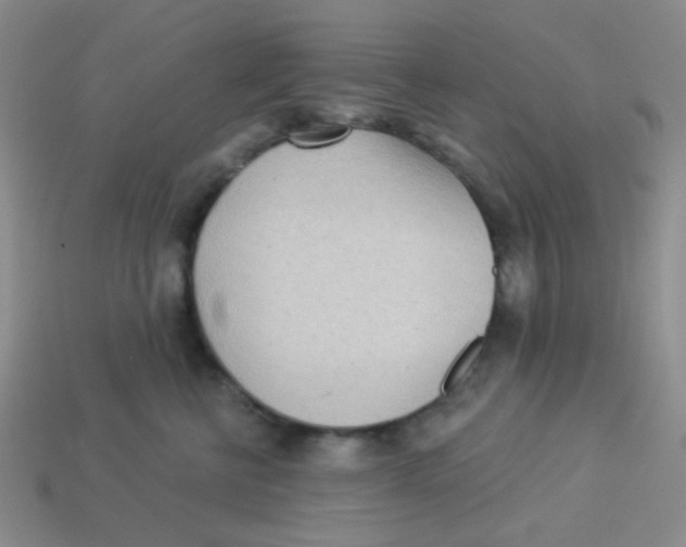 X0000113360570200910131302