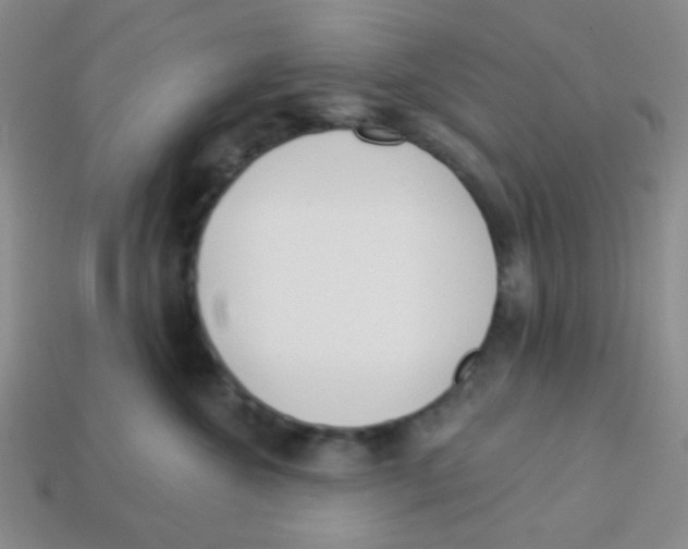 X0000113360572200910131302