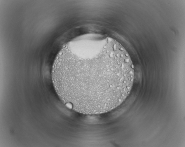 X0000113360573200910131302