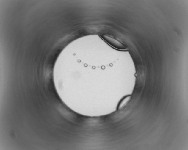 X0000113360574200910131302