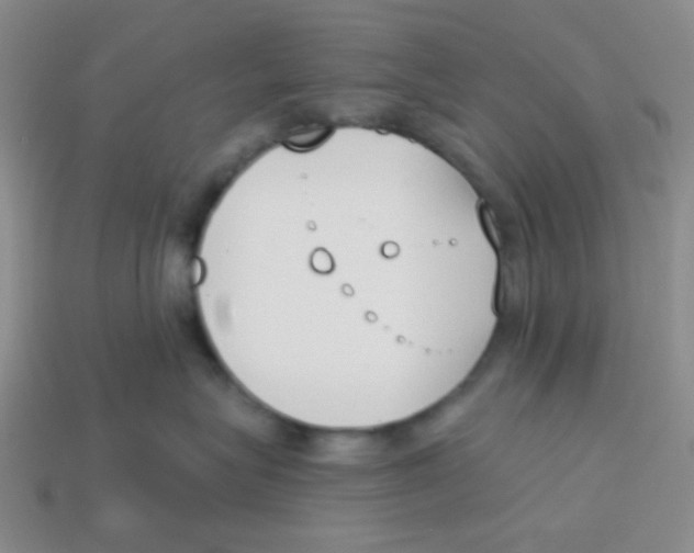 X0000113360575200910131302