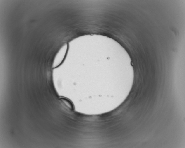X0000113360576200910131302