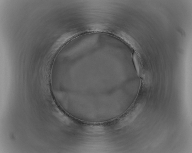 X0000113360577200910131302