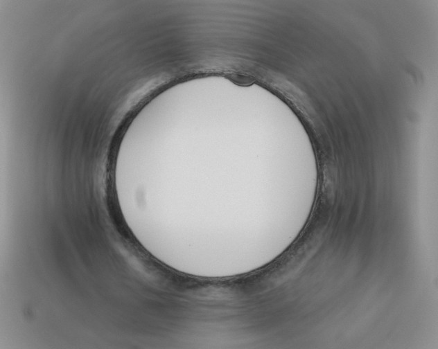 X0000113360578200910131302