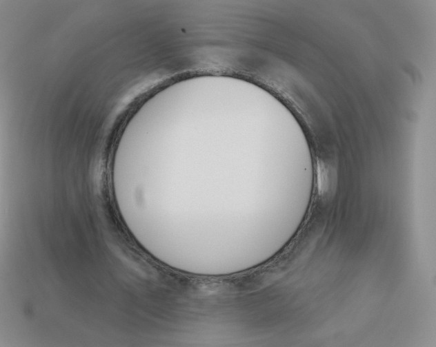 X0000113360579200910131302