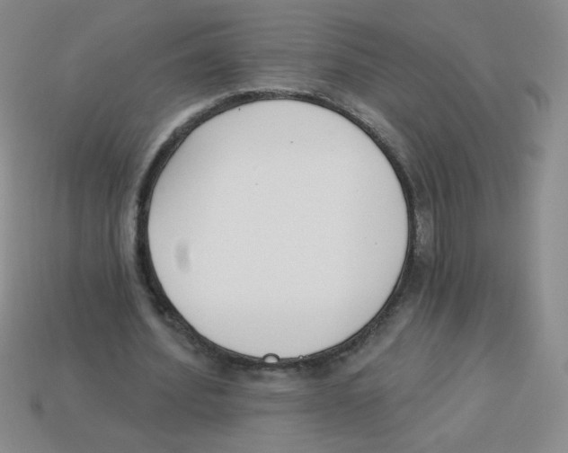 X0000113360580200910131302