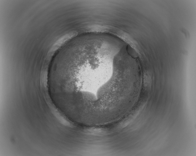 X0000113360581200910131302