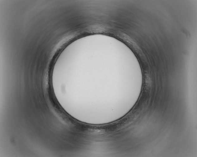 X0000113360582200910131302