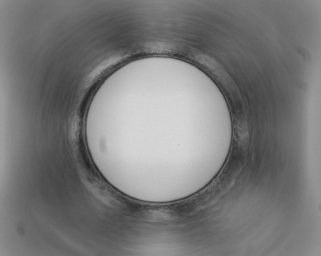 X0000113360583200910131302