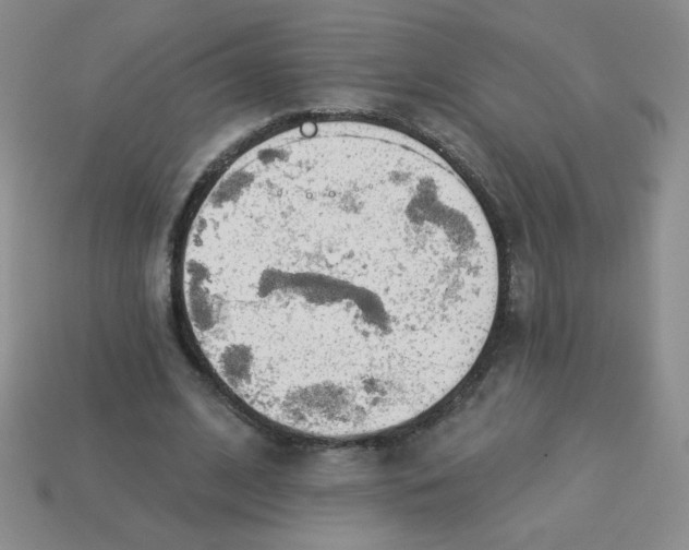 X0000113360584200910131302