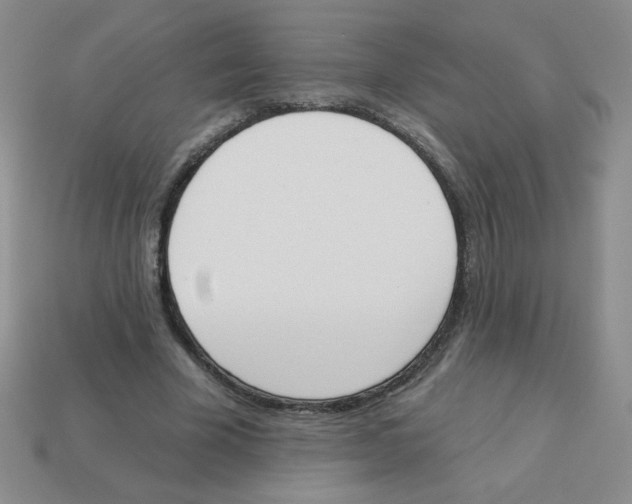 X0000113360585200910131302