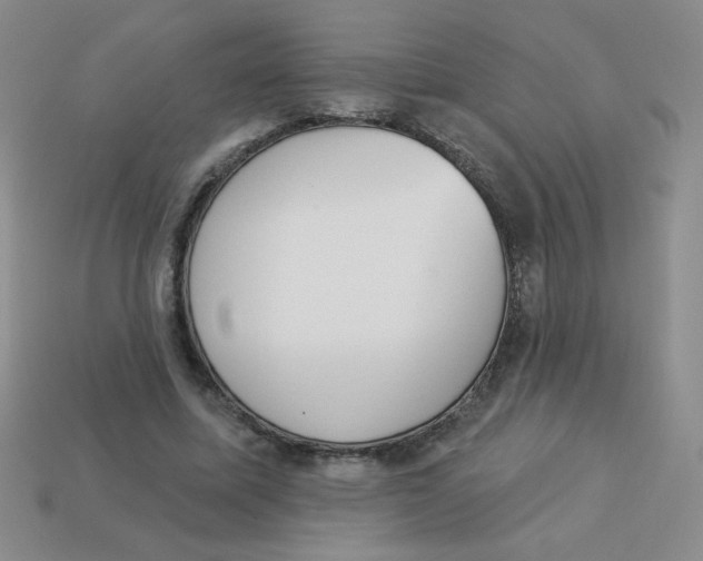 X0000113360587200910131302