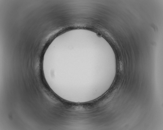 X0000113360588200910131302