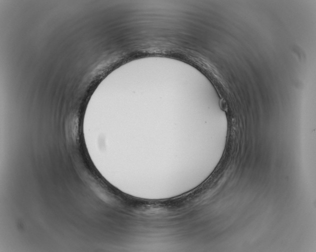 X0000113360589200910131302