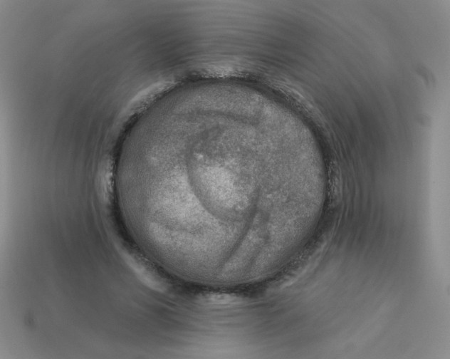 X0000113360590200910131302