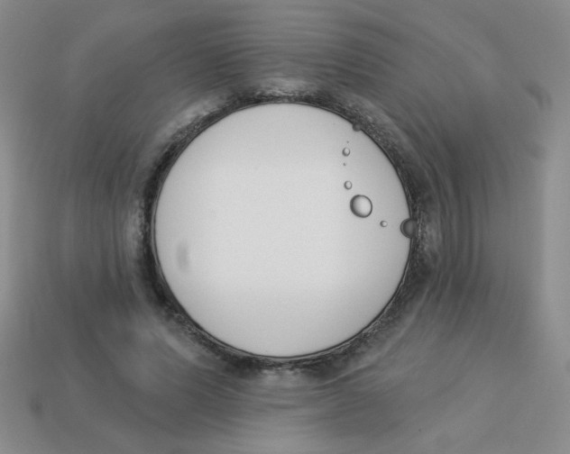 X0000113360591200910131302