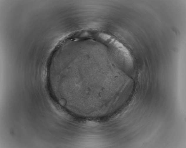 X0000113360592200910131301