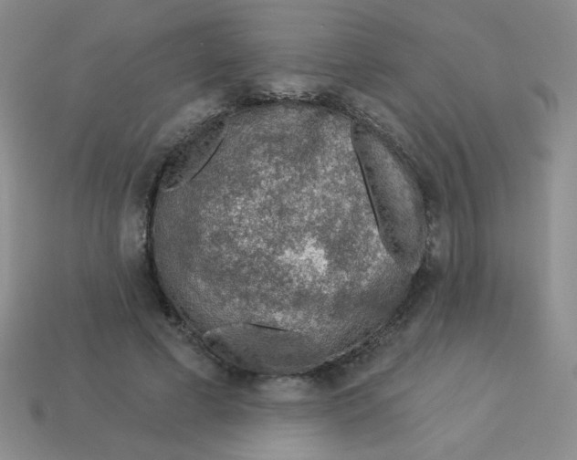 X0000113360593200910131301