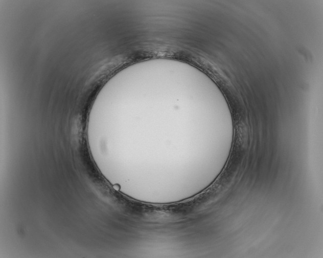 X0000113360594200910131301