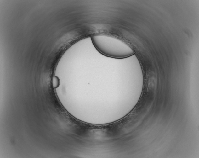 X0000113360595200910131301