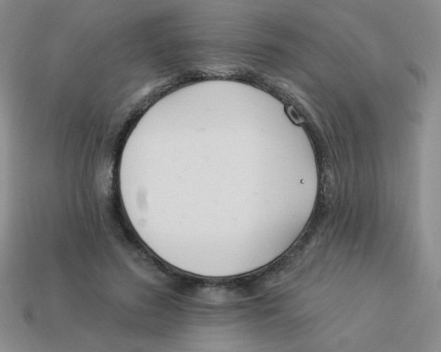 X0000113360596200910131301