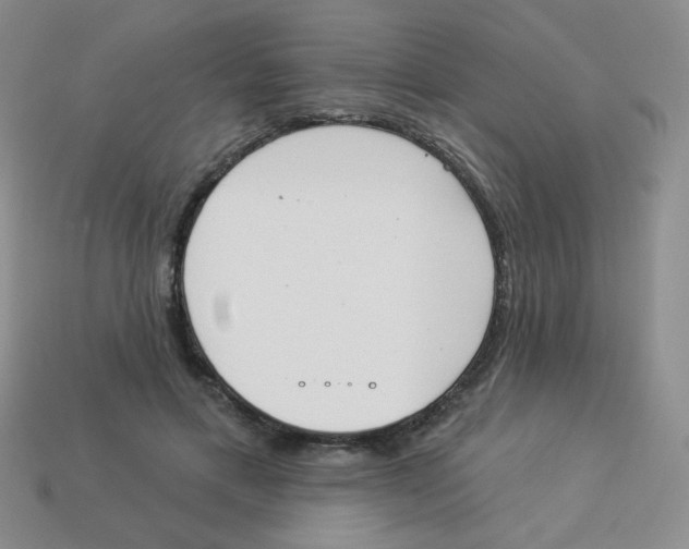 X0000113360597200910131301