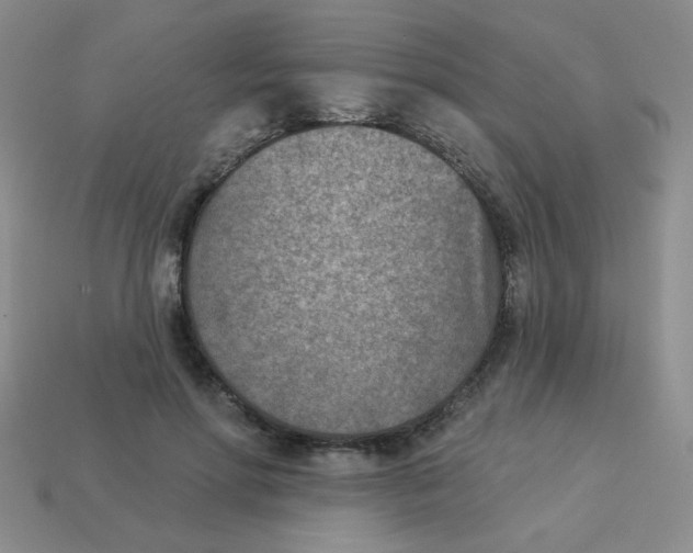 X0000113360598200910131301