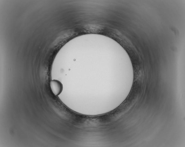 X0000113360599200910131301