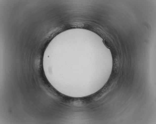 X0000113360600200910131301