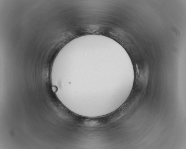 X0000113360602200910131301