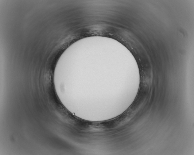 X0000113360603200910131301