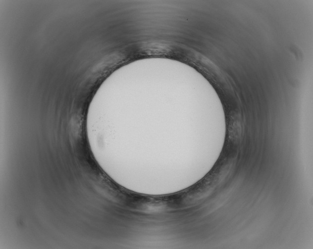 X0000113360604200910131301