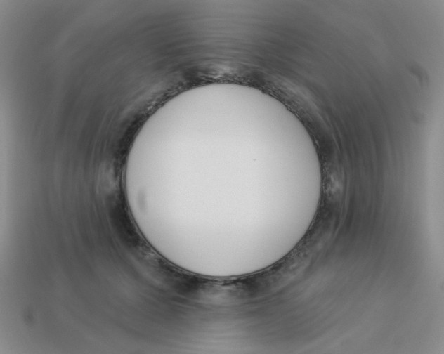 X0000113360607200910131301