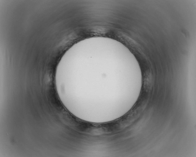 X0000113360608200910131301
