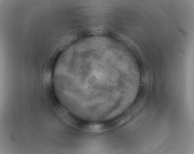 X0000113360610200910131301