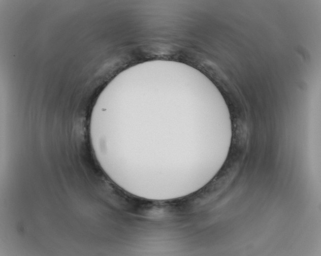 X0000113360612200910131301