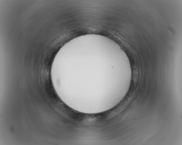 X0000113360613200910131301