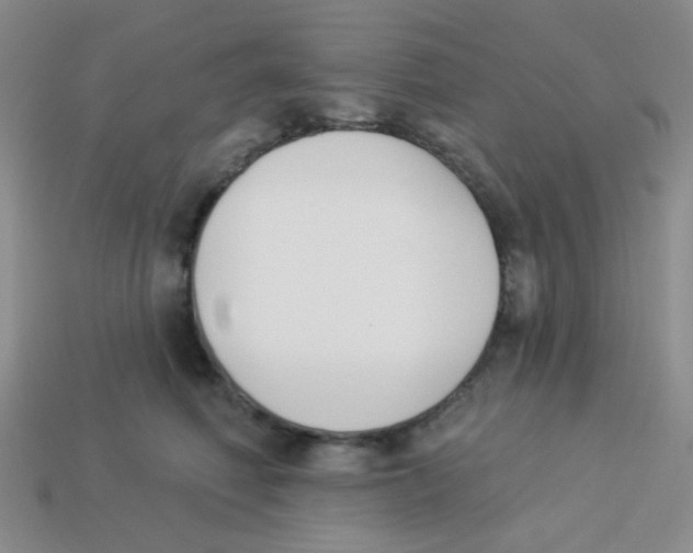 X0000113360614200910131301
