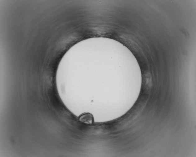 X0000113360615200910131301
