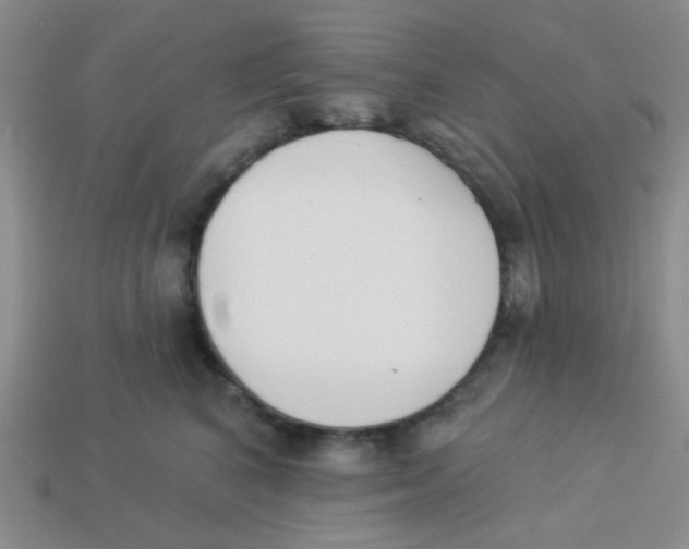 X0000113360616200910131301