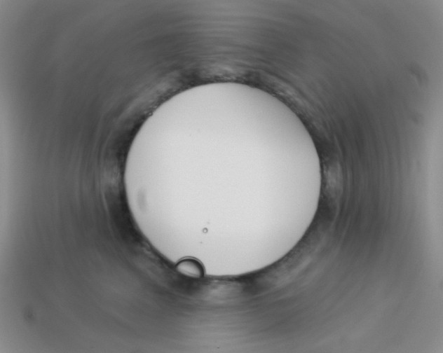 X0000113360617200910131301