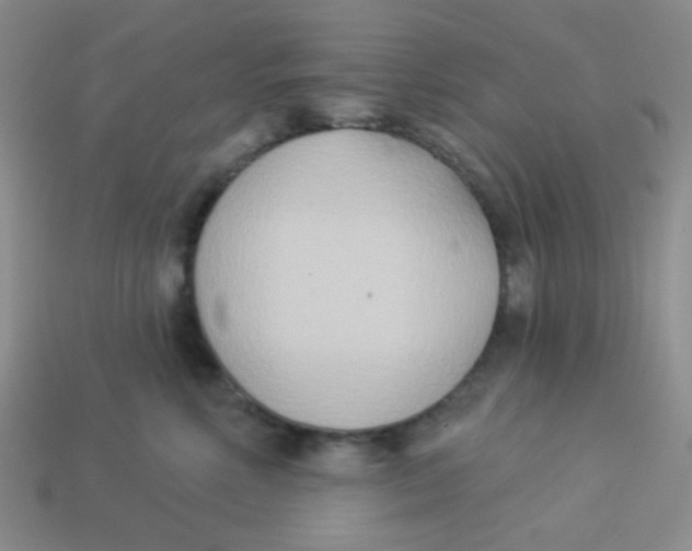 X0000113360618200910131301