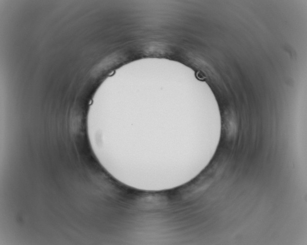 X0000113360619200910131301